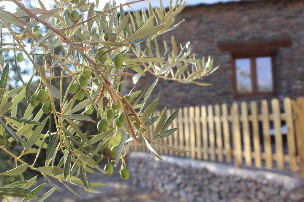 Dreams Alpujarra Lägenhet Pampaneira Exteriör bild