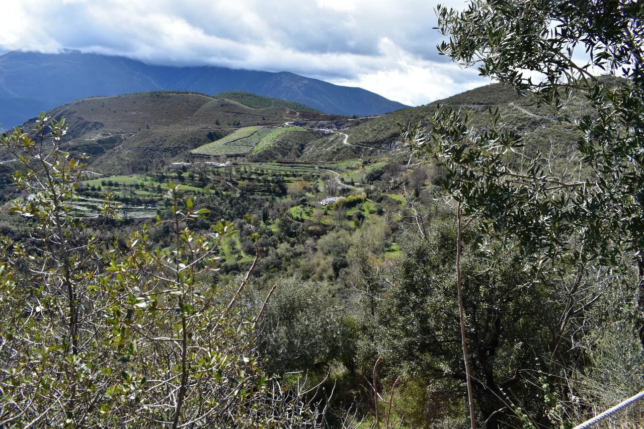 Dreams Alpujarra Lägenhet Pampaneira Exteriör bild