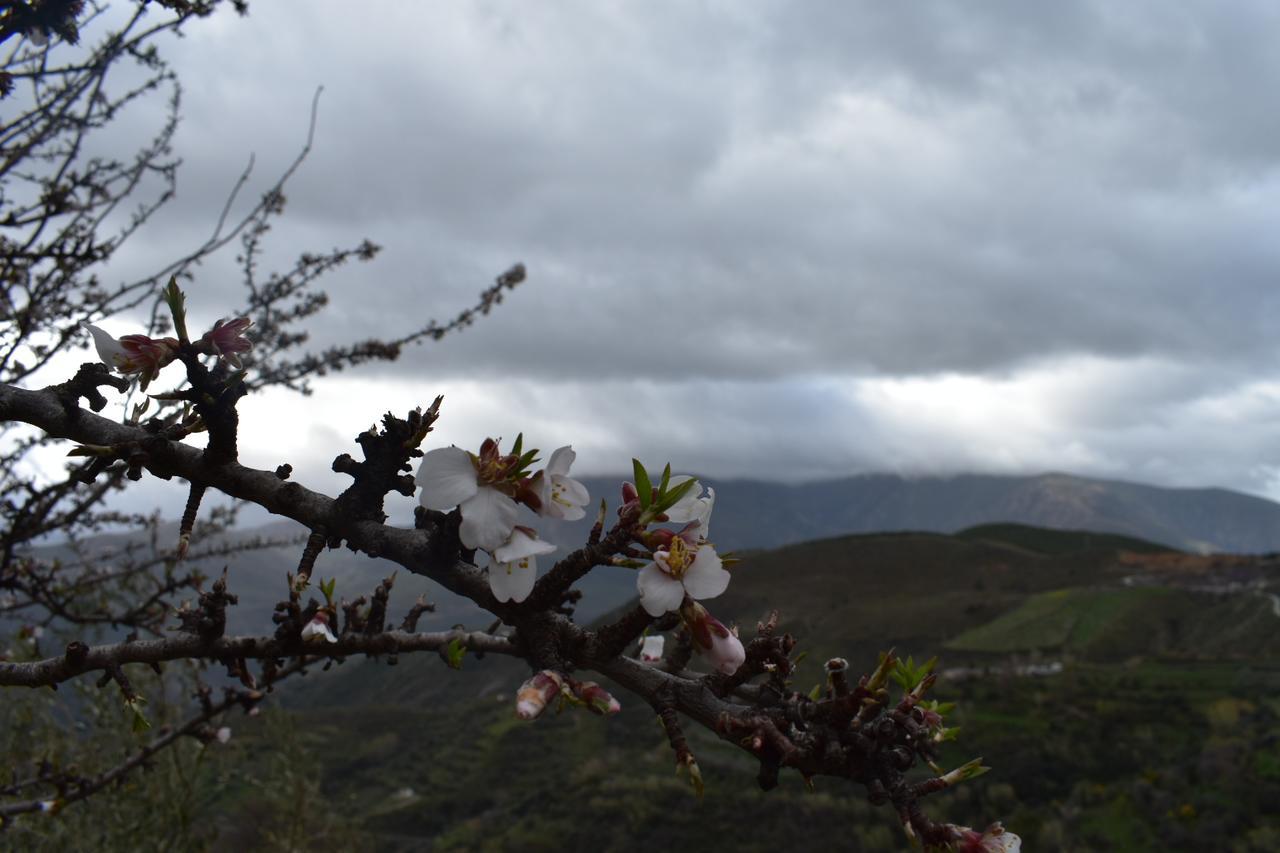 Dreams Alpujarra Lägenhet Pampaneira Exteriör bild